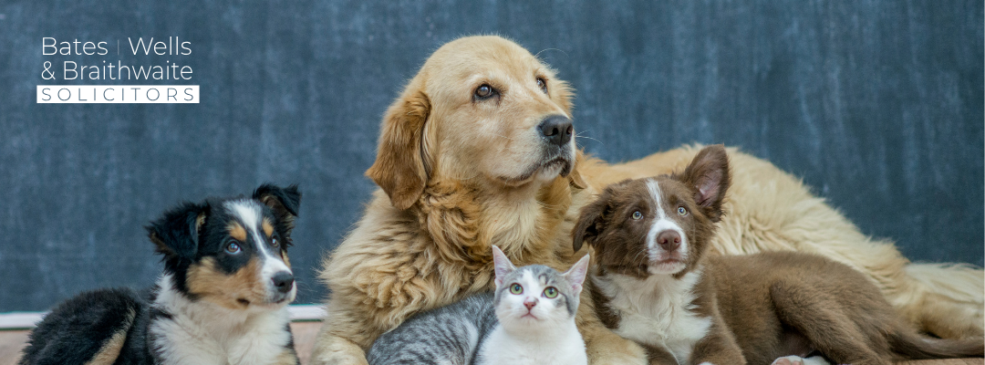 Can a landlord refuse my pet?
